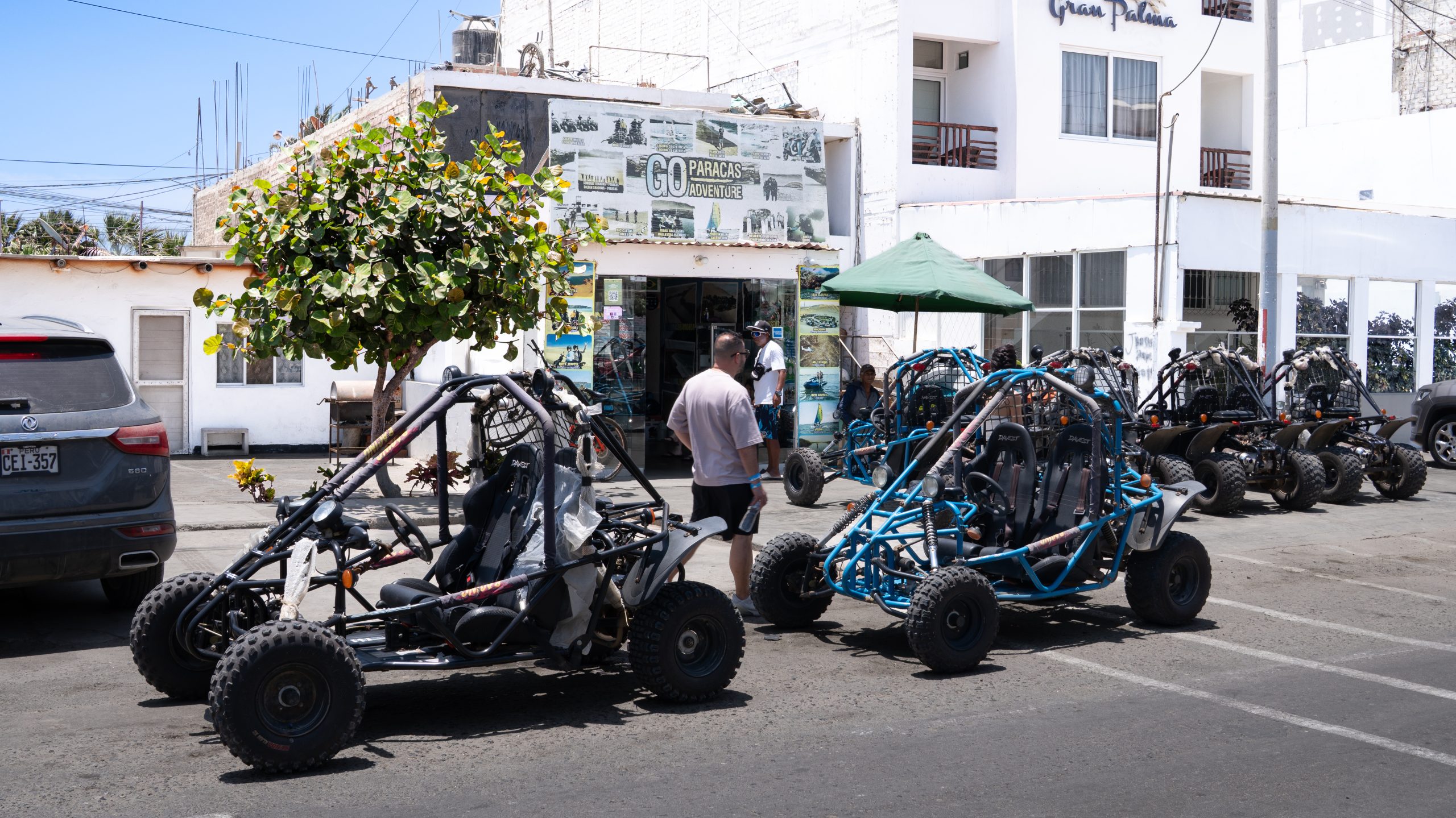 Alquiler de Buggies por La Reserva Nacional de Paracas, Perú