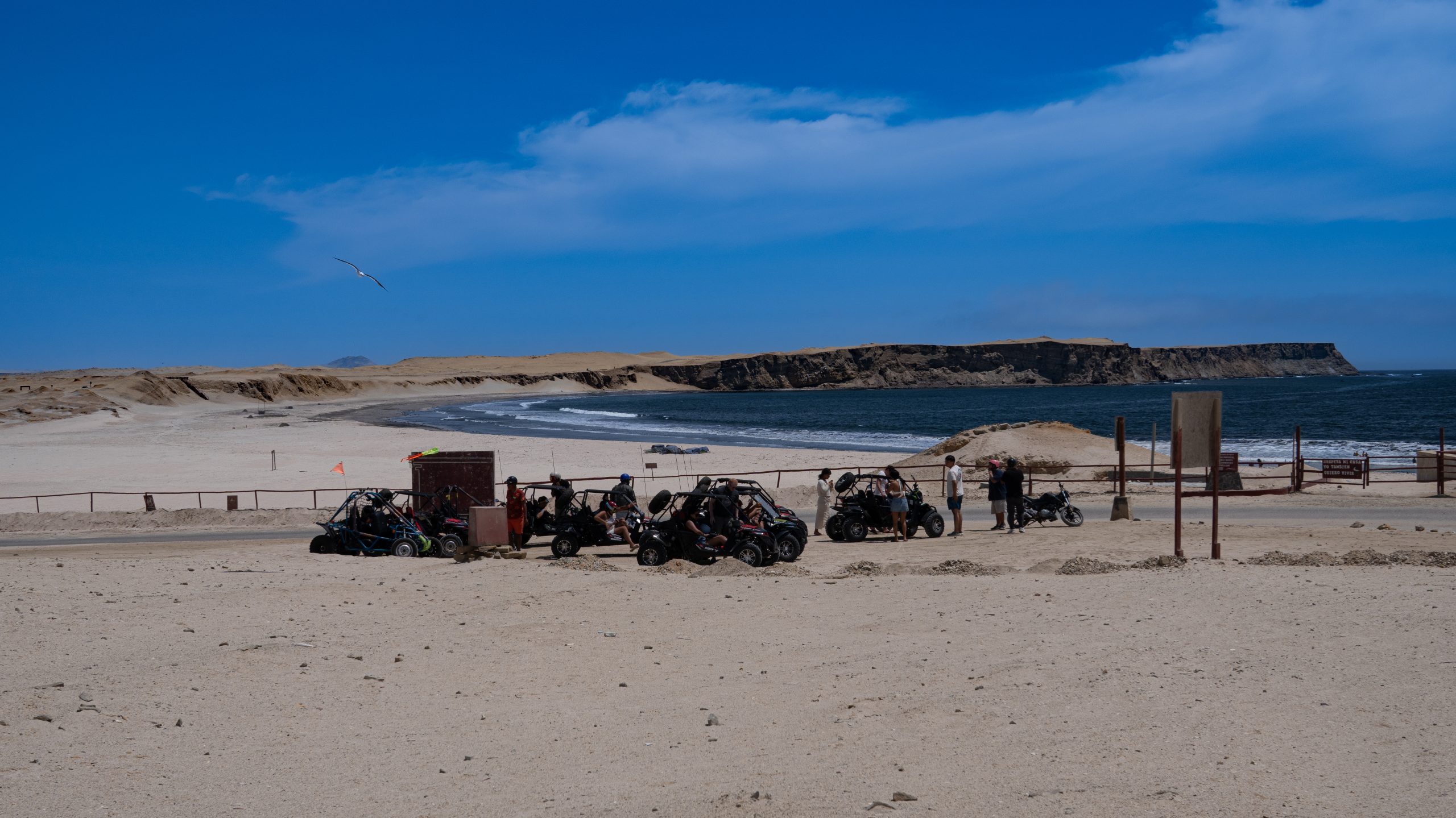 Alquiler de Buggies por La Reserva Nacional de Paracas, Perú