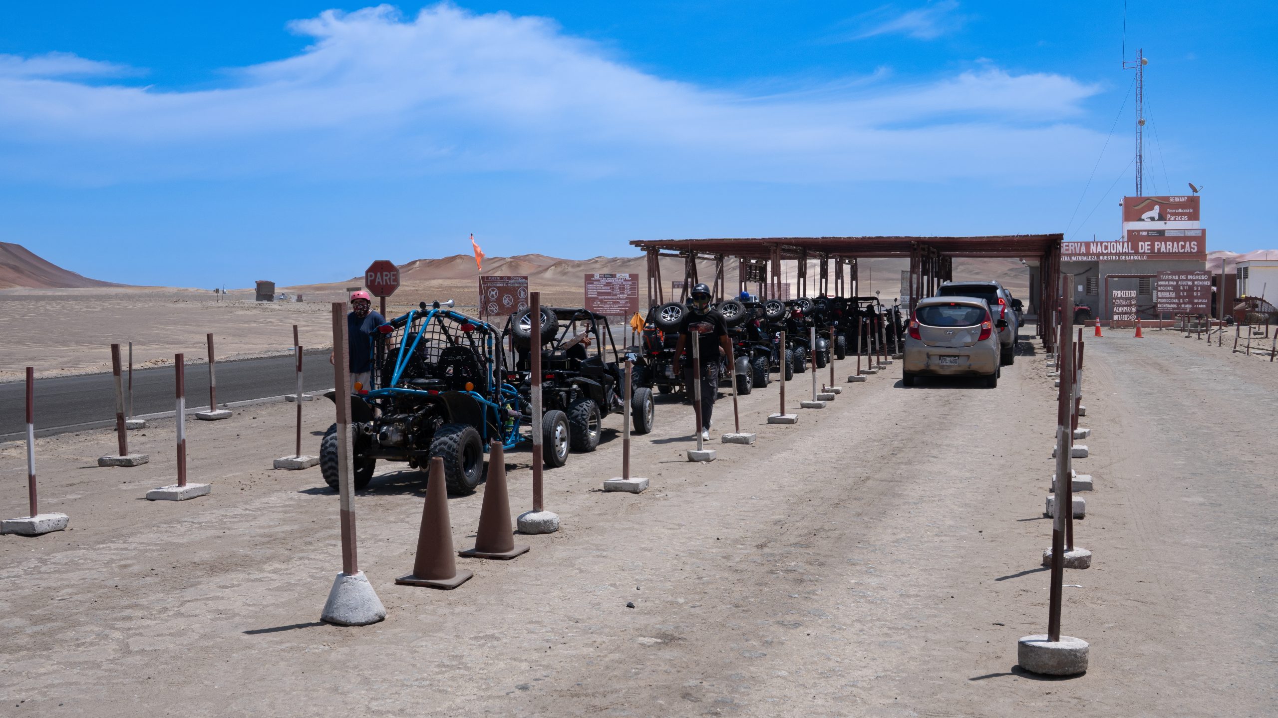 Alquiler de Buggies por La Reserva Nacional de Paracas, Perú