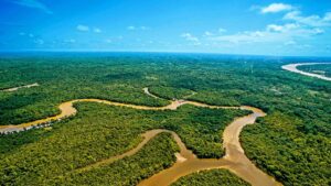 Río Amazonas La Maravilla Natural que Todo Explorador debe Conocer