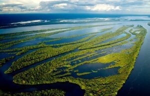 Río Amazonas La Maravilla Natural que Todo Explorador debe Conocer