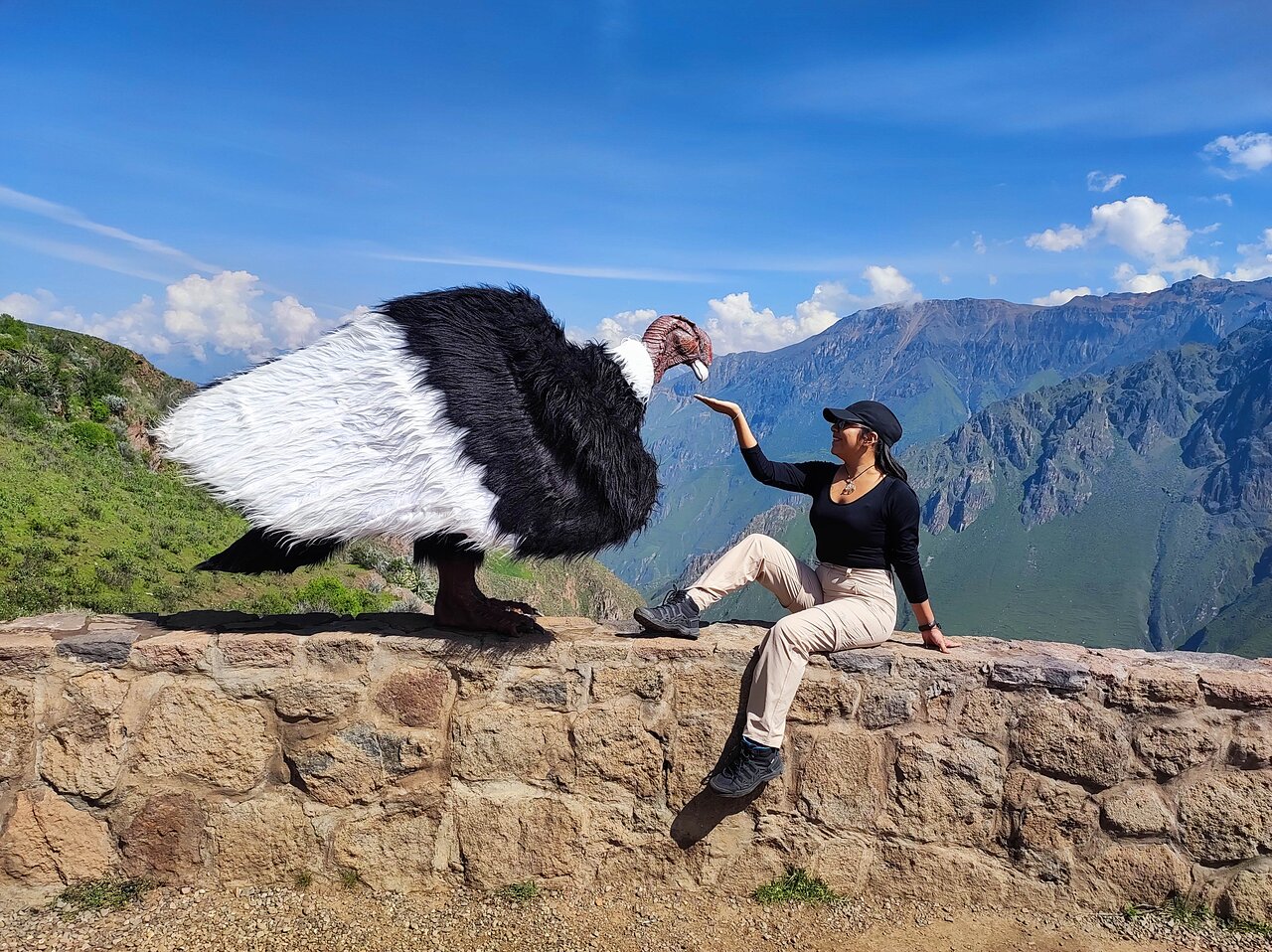 Cañon del Colca 2D-1N desde Arequipa, Perú