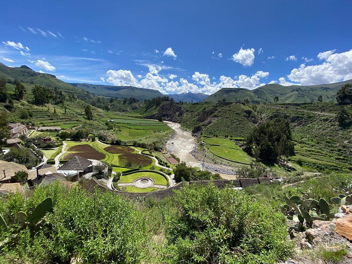 Cañon del Colca 2D-1N desde Arequipa, Perú