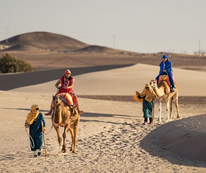 Paseo en Camello Ica, Perú