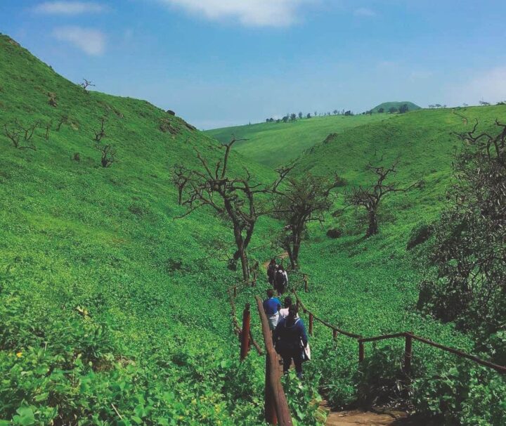 Trekking Day a Lomas de Lachay Tour, Perú
