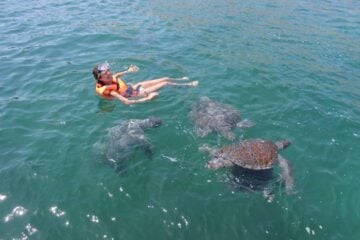 Buceo con Tortugas en Las Playas de Máncora, Piura - Perú