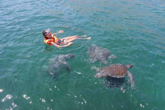 Buceo con Tortugas en Las Playas de Máncora, Piura - Perú