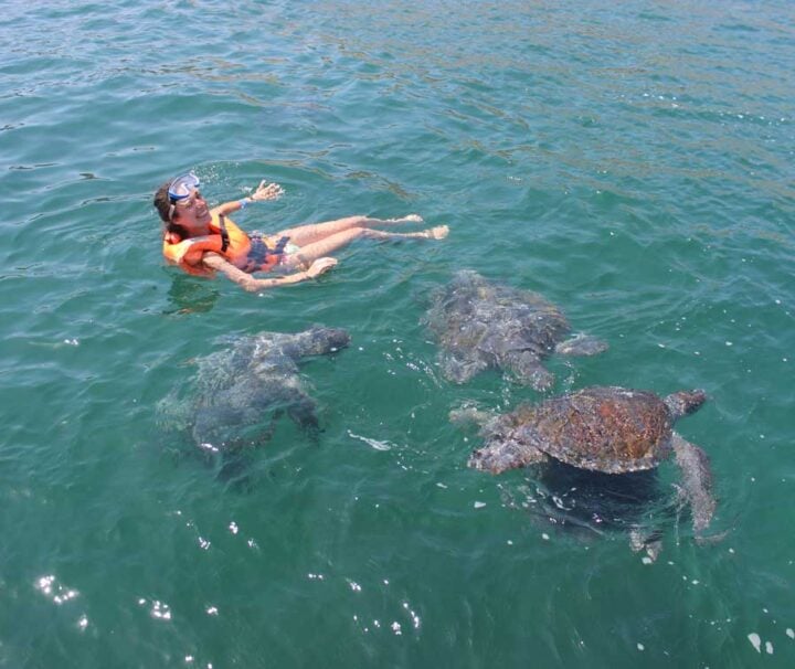 Buceo con Tortugas en Las Playas de Máncora, Piura - Perú