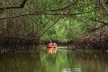 tour mancora manglares tumbes