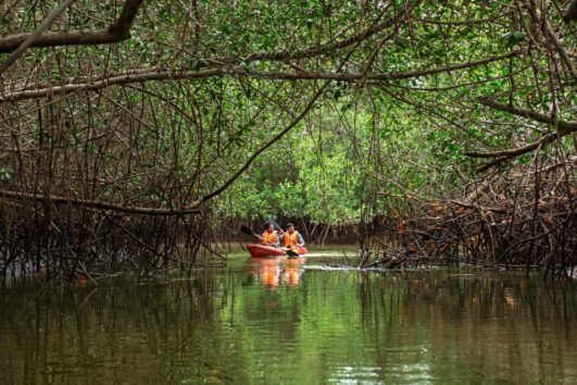 tour mancora manglares tumbes