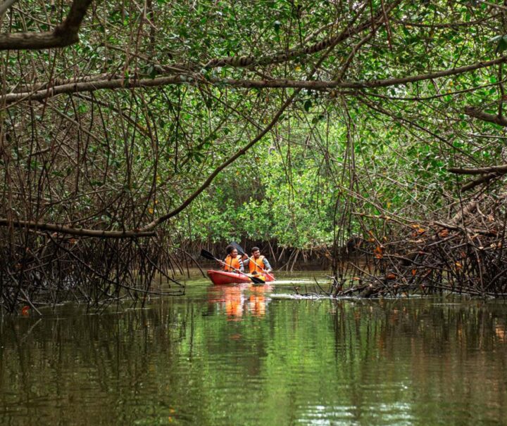 tour mancora manglares tumbes