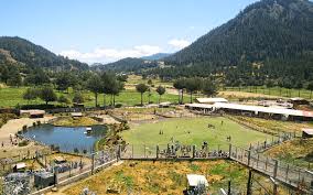 City Tour Privado Por Cajamarca, Perú