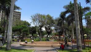 Kultura i Zwyczaje w Sercu Parque Kennedy Miraflores